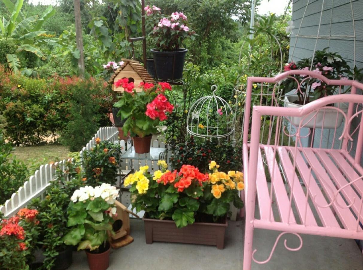 Baan Jaokorkluay บ้านเจ้ากอกล้วย Chiang Rai Eksteriør billede